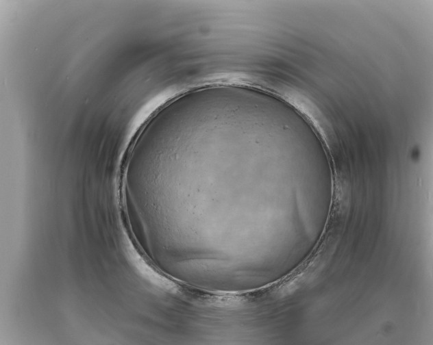 X0000093731090200710231147