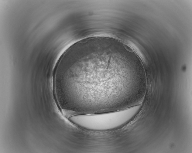 X0000093731092200710231147