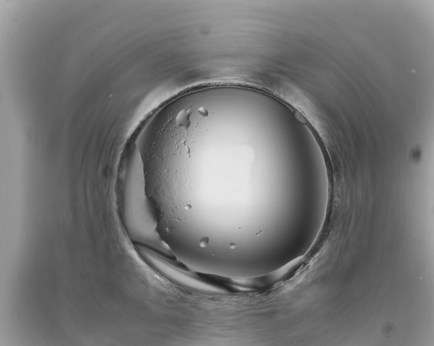 X0000093731093200710231147