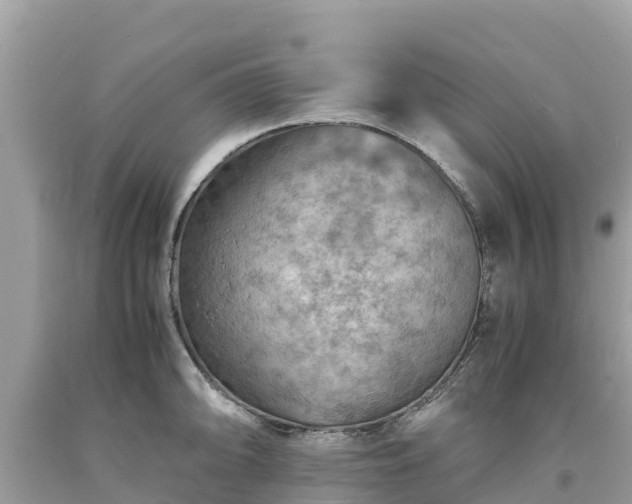 X0000093731094200710231147