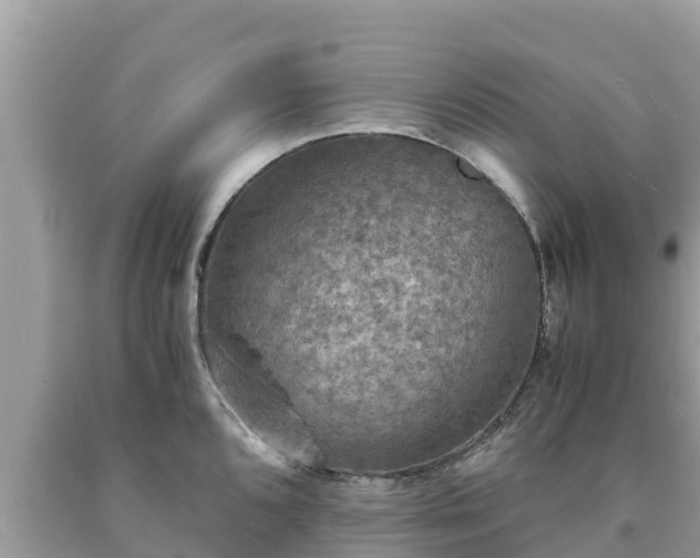 X0000093731096200710231147