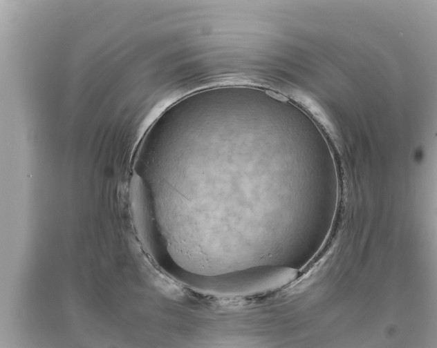 X0000093731097200710231147