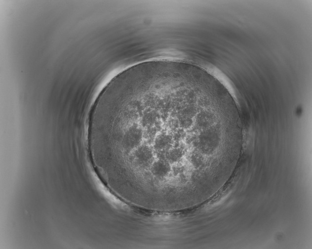 X0000093731099200710231147