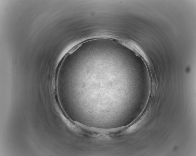 X0000093731101200710231147