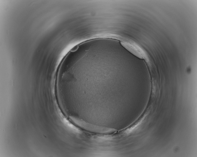 X0000093731102200710231147