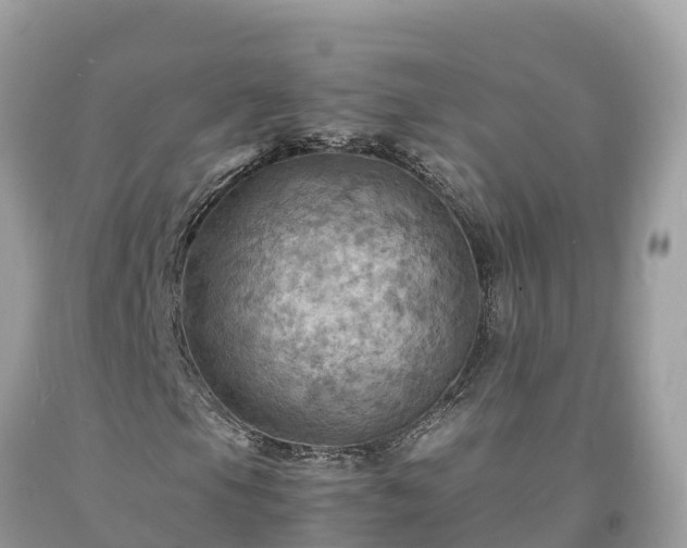 X0000093731105200710231146