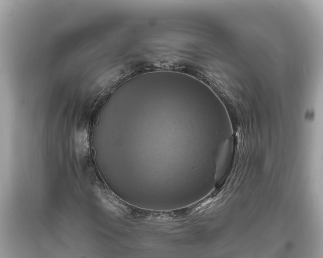 X0000093731106200710231146
