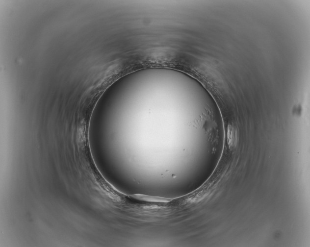 X0000093731107200710231146