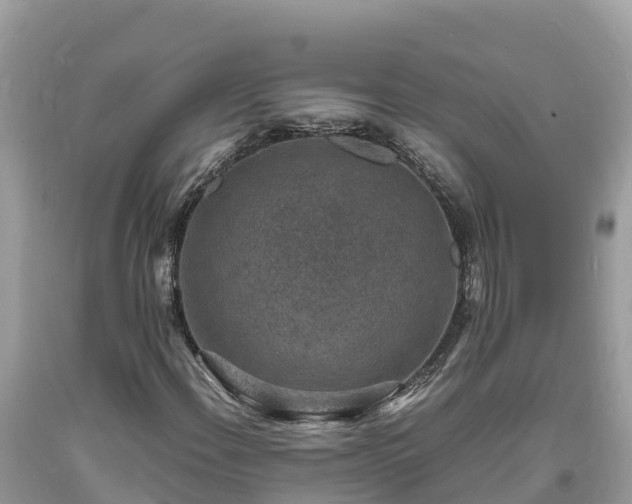 X0000093731108200710231146