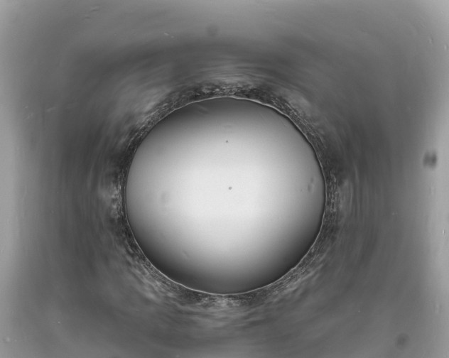 X0000093731109200710231146