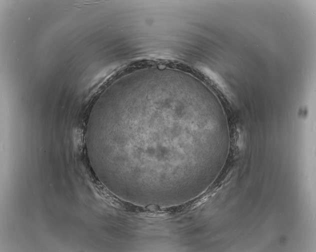 X0000093731110200710231146