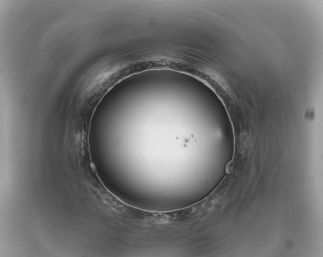 X0000093731111200710231146