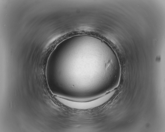 X0000093731112200710231146