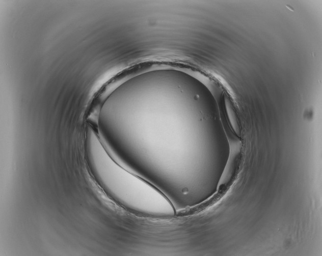 X0000093731114200710231146