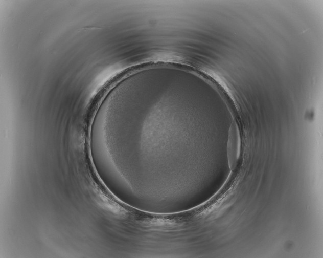 X0000093731115200710231146