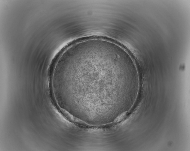 X0000093731118200710231146