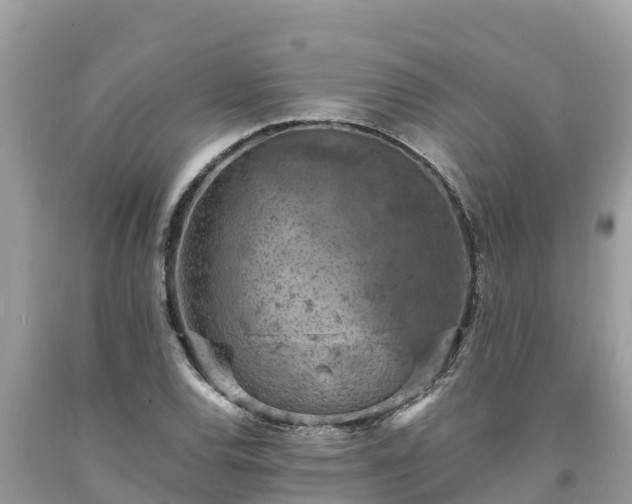X0000093731120200710231146