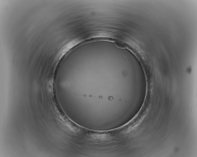 X0000093731121200710231146