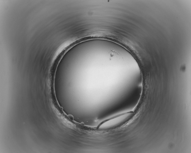 X0000093731122200710231146