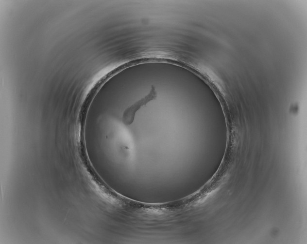 X0000093731125200710231146