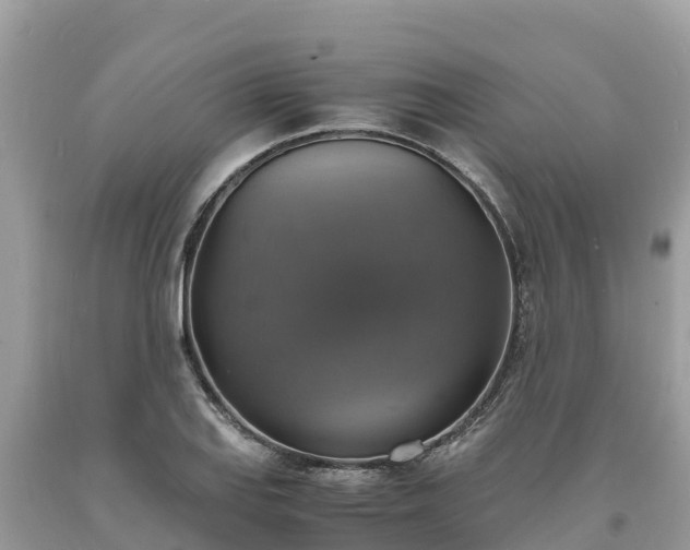 X0000093731127200710231146