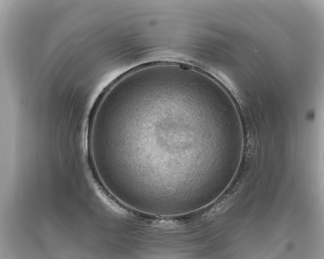 X0000093731128200710231146