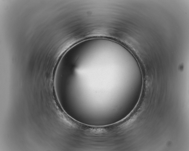 X0000093731129200710231146