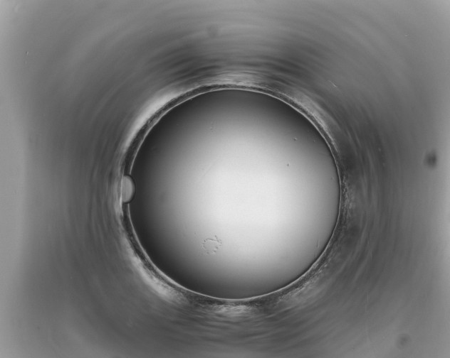 X0000093731131200710231146