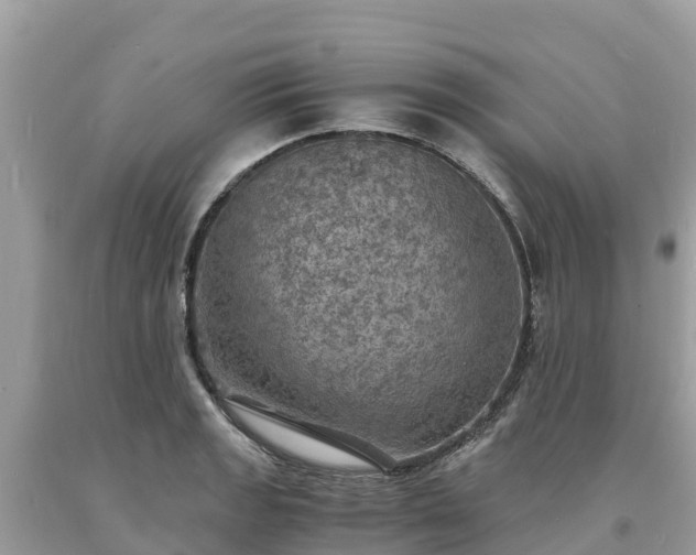 X0000093731133200710231146