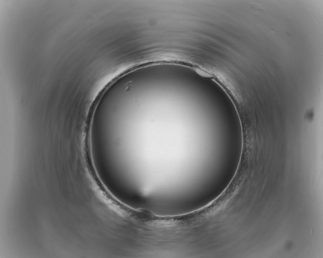 X0000093731134200710231146