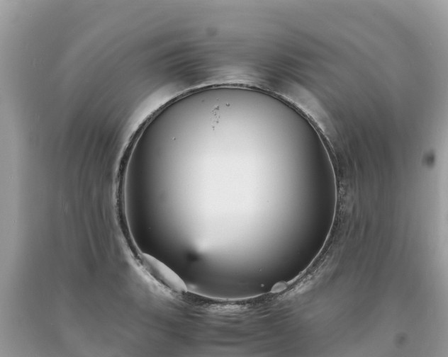 X0000093731135200710231146