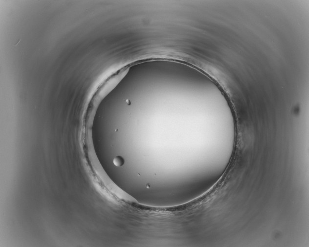 X0000093731136200710231146