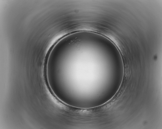 X0000093731139200710231147