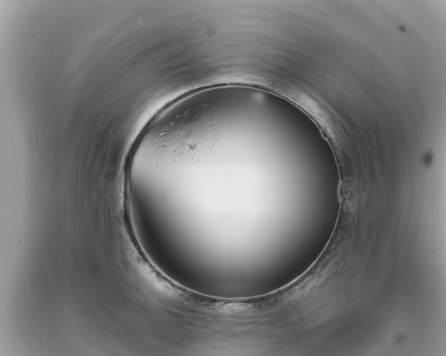 X0000093731140200710231147