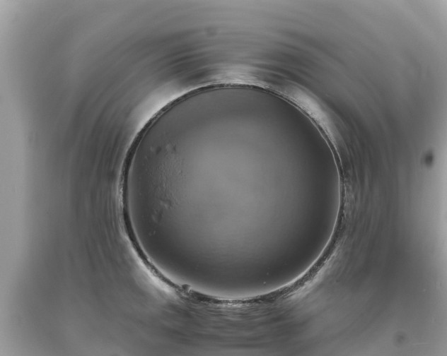 X0000093731141200710231147