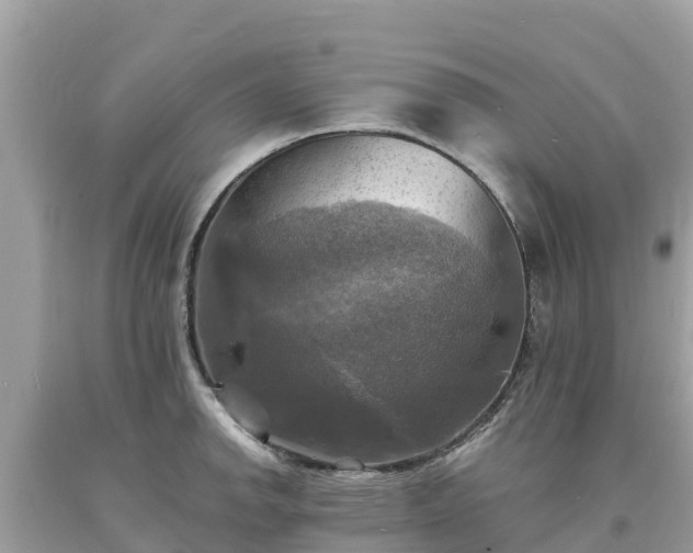 X0000093731142200710231147