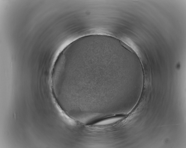 X0000093731144200710231147