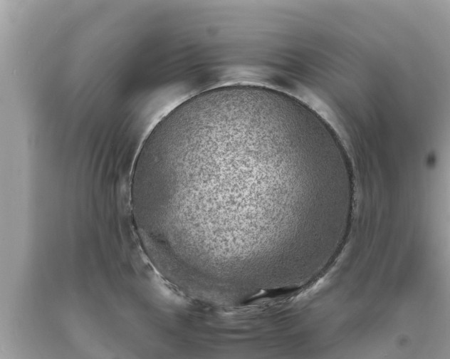 X0000093731145200710231147
