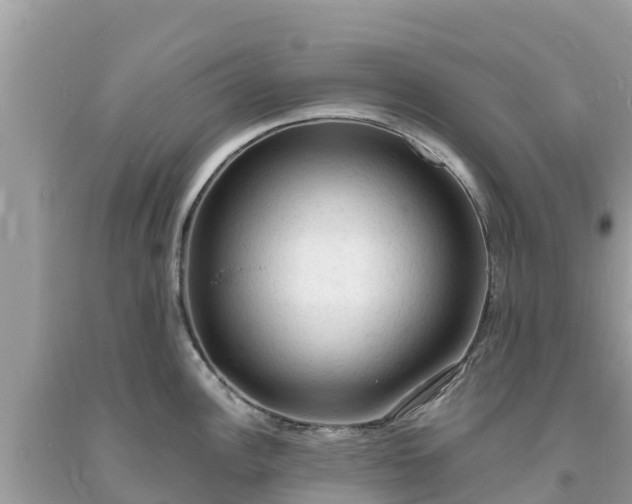 X0000093731148200710231147