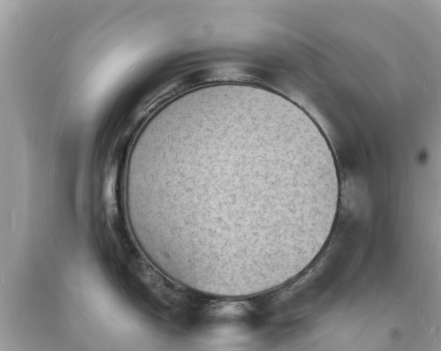 X0000093731150200710231147