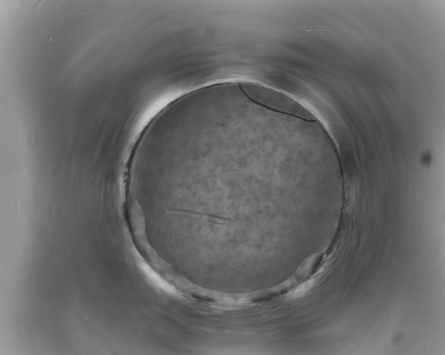 X0000093731151200710231147