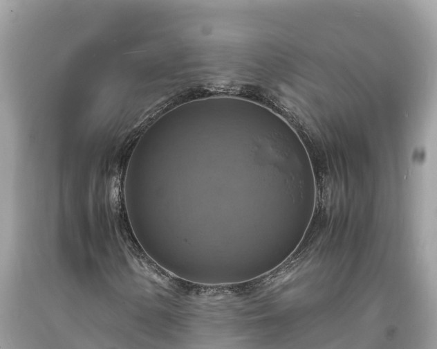 X0000093731154200710231146