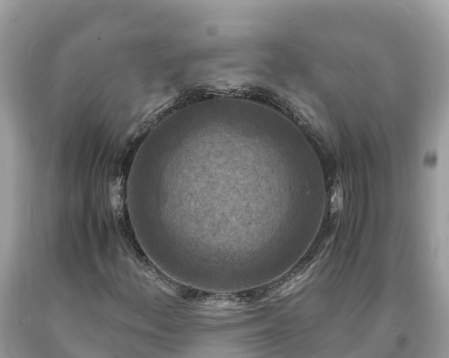 X0000093731156200710231146