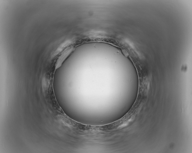 X0000093731157200710231146