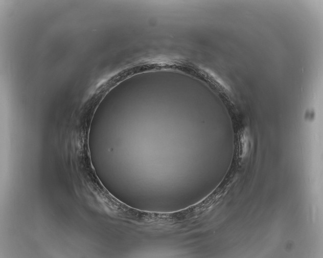 X0000093731158200710231146