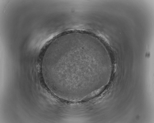 X0000093731159200710231146