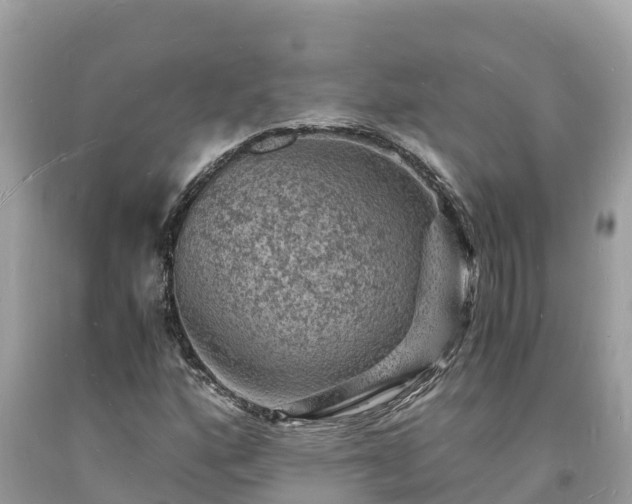 X0000093731160200710231146
