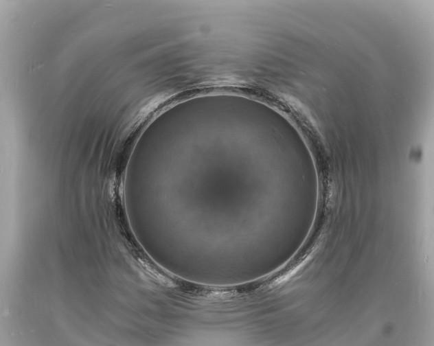 X0000093731161200710231146