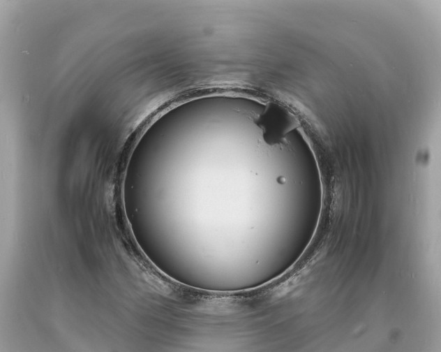 X0000093731162200710231146