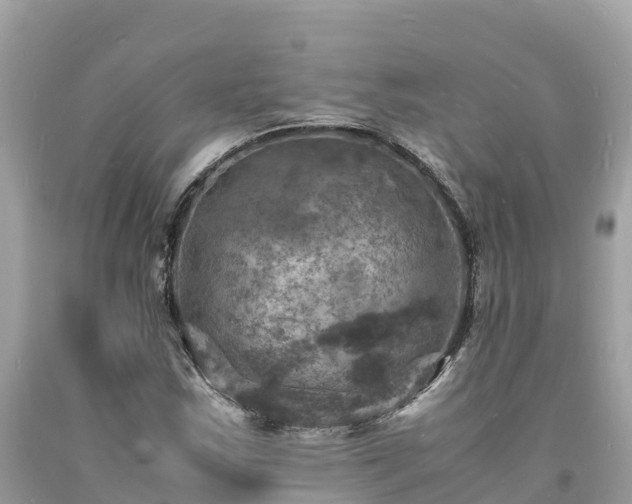 X0000093731163200710231146